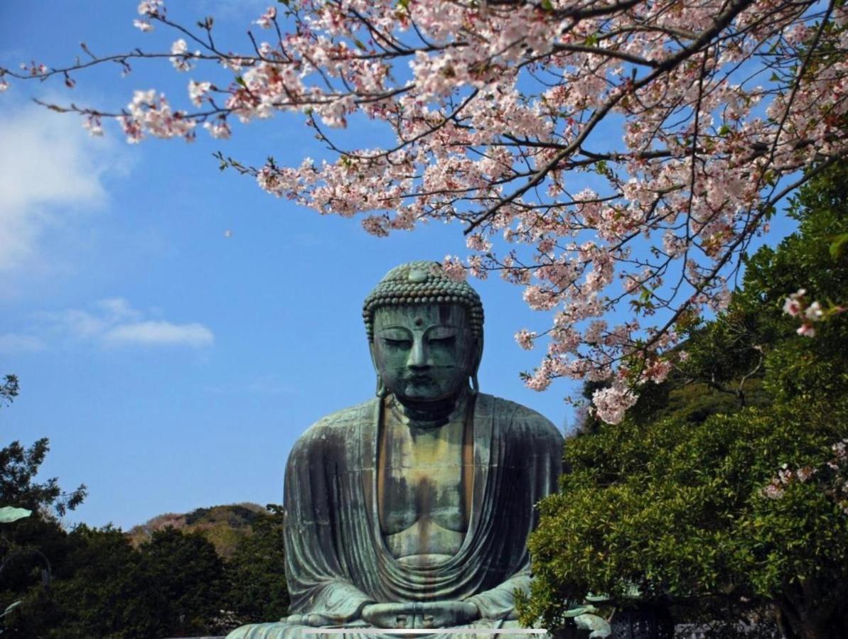 镰仓市 鎌倉楽庵旅舍 外观 照片